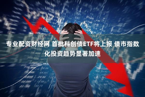 专业配资财经网 首批科创债ETF将上报 债市指数化投资趋势显著加速
