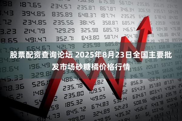 股票配资查询论坛 2025年8月23日全国主要批发市场砂糖橘价格行情
