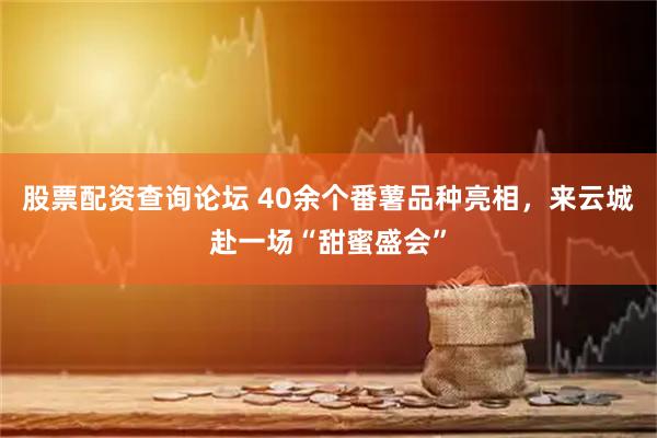 股票配资查询论坛 40余个番薯品种亮相，来云城赴一场“甜蜜盛会”